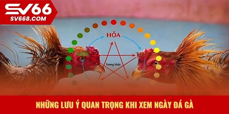 Những lưu ý quan trọng khi xem ngày đá gà