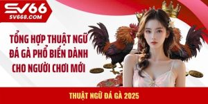 Thuật ngữ đá gà 2025
